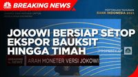 Jokowi Bakal Setop Ekspor Bauksit Hingga Timah,Ini Targetnya!