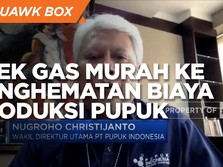 Efek Gas Murah, Pupuk Indonesia Hemat Biaya Produksi Urea