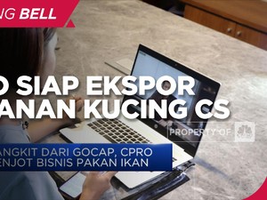 Market Tumbuh 2x Lipat, CPRO Siap Ekspor Makanan Kucing Cs