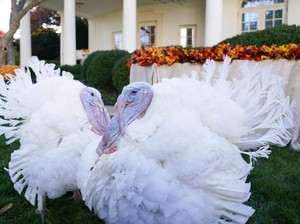 Tanggal 27 November 2025 Memperingati Hari Apa? Ada Hari Thanksgiving!