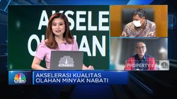 Kupas Tuntas Implementasi Larangan Minyak Goreng Curah