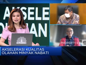 Kupas Tuntas Implementasi Larangan Minyak Goreng Curah
