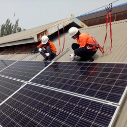 Gusur Pembangkit Fosil, PLN Cari Baterai Murah Untuk PLTS