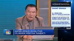 Upaya GIMNI Dorong Akselerasi Kualitas Olahan Minyak Nabati