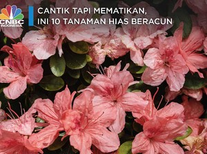 Cantik tapi Mematikan, Ini 10 Tanaman Hias Beracun