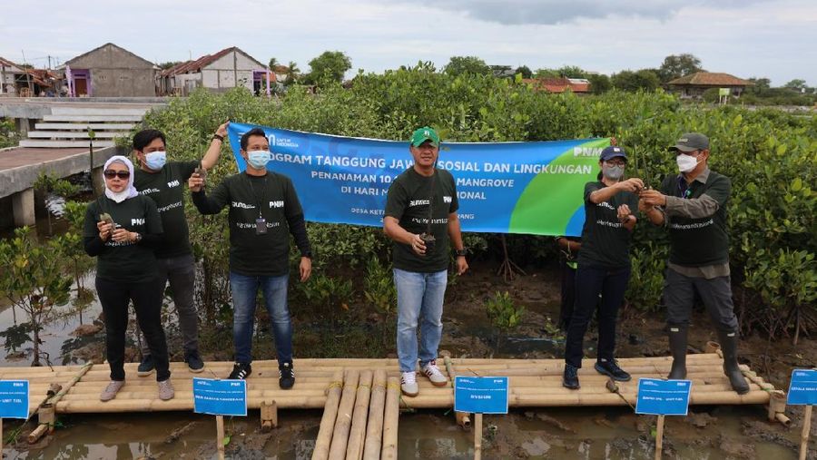 PT Permodalan Nasional Madani atau PNM tanam 10.000 mangrove di Desa Ketapang