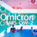Riset: Orang yang Pernah Kena Covid Rentan Terjangkit Omicron