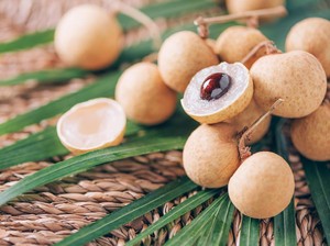 Siswa Lampung Tewas Tersedak Kelengkeng, SPPG Minta Juknis Buah Dievaluasi