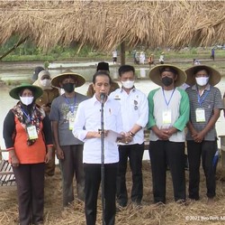 Jokowi Beberkan Alasan RI Tak Lagi Impor Beras