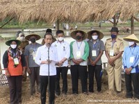 Jokowi Beberkan Alasan RI Tak Lagi Impor Beras