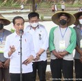 Jokowi: Sampai Hari ini Kita Belum Impor Beras Sama Sekali!