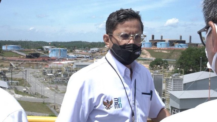 Wakil Menteri (Wamen) BUMN Pahala N. Mansury Wakil Menteri (Wamen) BUMN Pahala N. Mansury