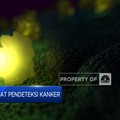 Keren! Kini Ada Obat Pendeteksi Kanker