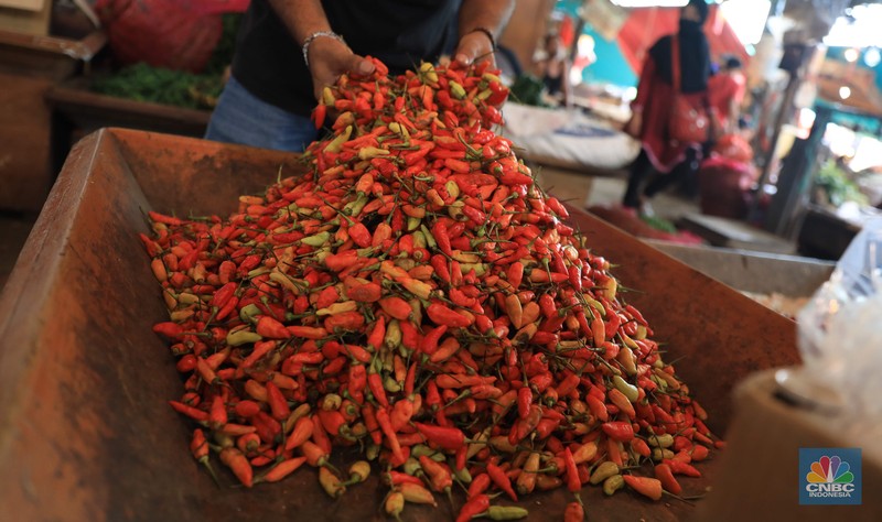 Suasana pedagang di Pasar Induk, Kramat jati, Jakarta Timur, Rabu, (1/12/2021). (CNBC Indonesia/Muhammad Sabki) Suasana pedagang di Pasar Induk, Kramat jati, Jakarta Timur, Rabu, (1/12/2021). (CNBC Indonesia/Muhammad Sabki)