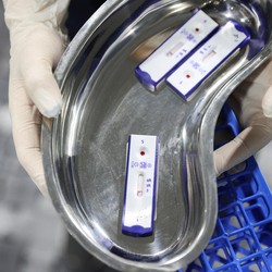 Penting! WHO Ungkap Kunci Rahasia Lawan Covid Varian Omicron