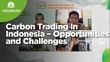 Carbon Trading In Indonesia - Opportunities and Challenges