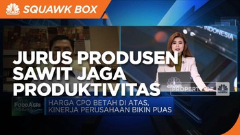 Jurus Produsen Sawit Jaga Produktivitas Saat Pergantian Musim