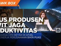 Jurus Produsen Sawit Jaga Produktivitas Saat Pergantian Musim