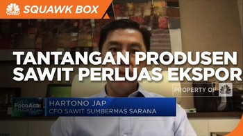 Penuhi Standar Global, Tantangan Produsen CPO Perluas Ekspor