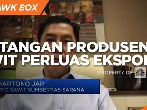 Penuhi Standar Global, Tantangan Produsen CPO Perluas Ekspor