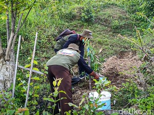 Merakit Small Food Estate Nusantara