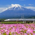 Penghalang Gunung Fuji di Lawson Jepang Mulai Dipasang, Ada Apa?