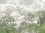 Penampakan Erupsi Semeru, Hujan Abu Vulkanik di Lumajang