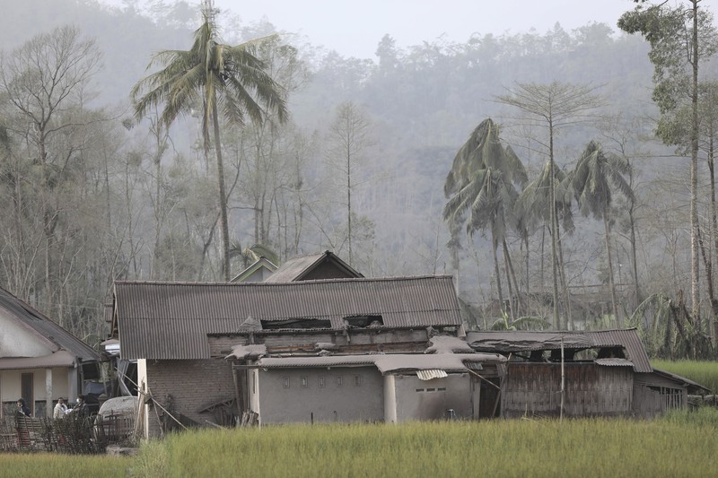Kondisi Rumah Warga Usai Erupsi Gunung Semeru (5/12/2021) A man brings his buffaloes for evacuation past houses covered with ash following an eruption of Mount Semeru, seen in the background, in Lumajang, East Java, Indonesia, Sunday, Dec. 5, 2021. The highest volcano on Indonesia’s most densely populated island of Java spewed thick columns of ash, searing gas and lava down its slopes in a sudden eruption triggered by heavy rains on Saturday. (AP Photo/Trisnadi)