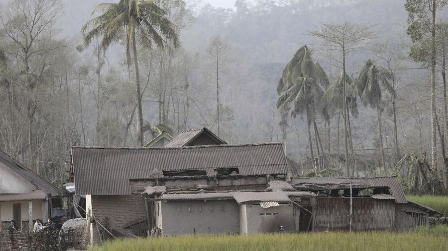 A man brings his buffaloes for evacuation past houses covered with ash following an eruption of Mount Semeru, seen in the background, in Lumajang, East Java, Indonesia, Sunday, Dec. 5, 2021. The highest volcano on Indonesia’s most densely populated island of Java spewed thick columns of ash, searing gas and lava down its slopes in a sudden eruption triggered by heavy rains on Saturday. (AP Photo/Trisnadi)