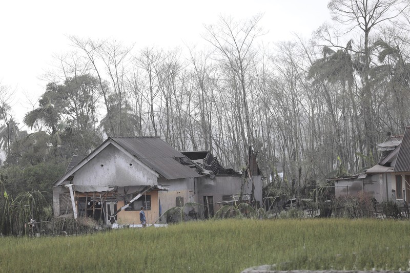 Kondisi Rumah Warga Usai Erupsi Gunung Semeru (5/12/2021) A man brings his buffaloes for evacuation past houses covered with ash following an eruption of Mount Semeru, seen in the background, in Lumajang, East Java, Indonesia, Sunday, Dec. 5, 2021. The highest volcano on Indonesia’s most densely populated island of Java spewed thick columns of ash, searing gas and lava down its slopes in a sudden eruption triggered by heavy rains on Saturday. (AP Photo/Trisnadi)