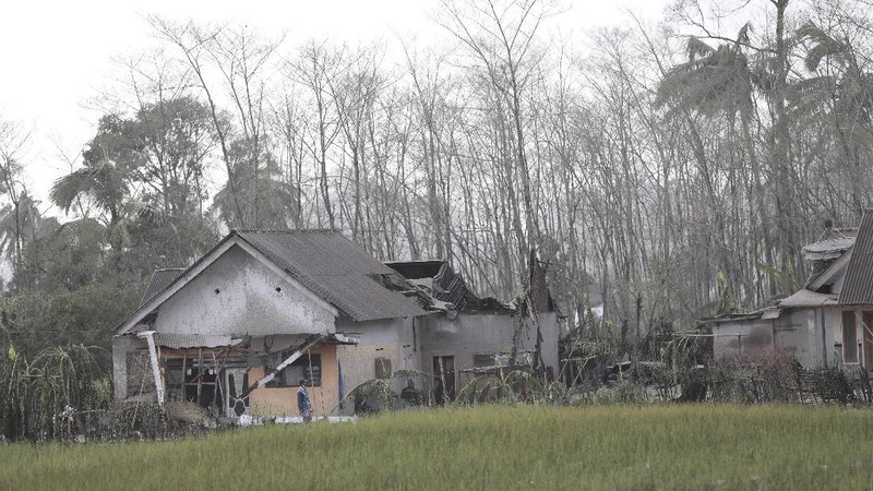 A man brings his buffaloes for evacuation past houses covered with ash following an eruption of Mount Semeru, seen in the background, in Lumajang, East Java, Indonesia, Sunday, Dec. 5, 2021. The highest volcano on Indonesia’s most densely populated island of Java spewed thick columns of ash, searing gas and lava down its slopes in a sudden eruption triggered by heavy rains on Saturday. (AP Photo/Trisnadi)