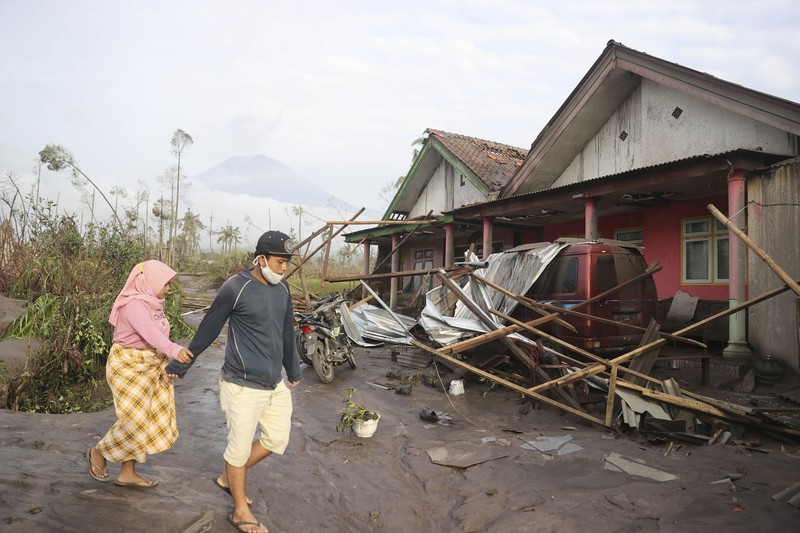 Kondisi Rumah Warga Usai Erupsi Gunung Semeru (5/12/2021) A man brings his buffaloes for evacuation past houses covered with ash following an eruption of Mount Semeru, seen in the background, in Lumajang, East Java, Indonesia, Sunday, Dec. 5, 2021. The highest volcano on Indonesia’s most densely populated island of Java spewed thick columns of ash, searing gas and lava down its slopes in a sudden eruption triggered by heavy rains on Saturday. (AP Photo/Trisnadi)