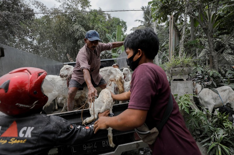 An Indonesian soldier walks past damage trucks at Sumberwuluh village following the eruption of Semeru mount volcano in Lumajang regency, East Java province, Indonesia, December 5, 2021. REUTERS/Willy Kurniawan