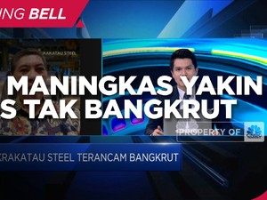 Bantah Erick Thohir, Roy Maningkas Yakin KRAS Tak Bangkrut