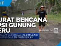 Darurat Bencana Erupsi Gunung Semeru