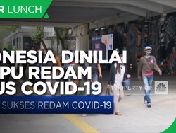 Indonesia Dinilai Mampu Redam Kasus Covid-19