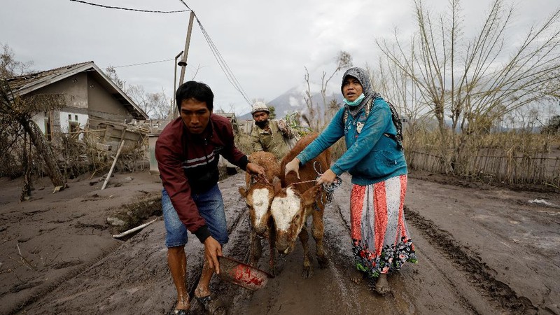 Locals transport a mattress on a motorcycle as Mount Semeru volcano continues to spew ash and smoke in the background following an eruption, in Gunung Sawur, Candipuro, Indonesia December 7, 2021. REUTERS/Willy Kurniawan     TPX IMAGES OF THE DAY