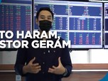 Kripto Haram, Investor Geram
