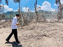 Gaya Jokowi 'Blusukan' Cek Tanggap Darurat Erupsi Semeru