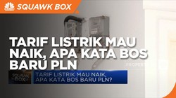 Tarif Listrik Mau Naik, Apa Kata Bos Baru PLN?