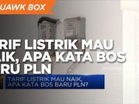 Tarif Listrik Mau Naik, Apa Kata Bos Baru PLN?