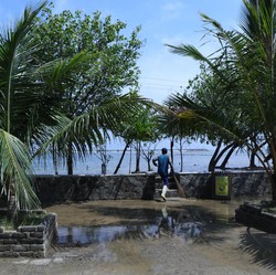 RI Waspada Banjir Rob, 23 Daerah Ini Warning