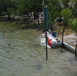 BMKG Ungkap Ada Potensi Banjir Rob di Awal 2022