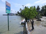 Pantai Ancol Banjir Rob, Tanda Jakarta Tenggelam Mulai Dekat?