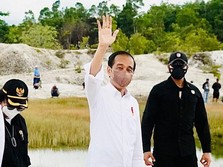 Jokowi Tanam Pohon di Bekas Tambang Emas