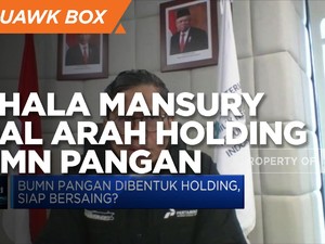 Buka-bukaan Pahala Mansury Soal Arah Holding BUMN Pangan