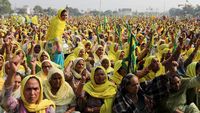 Kekuatan Demo Panjang Petani India, Berujung PM Modi Menyerah