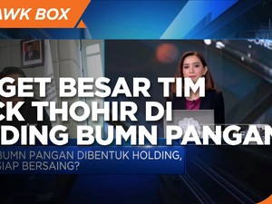Ini Target Besar Tim Erick Thohir di Holding BUMN Pangan
