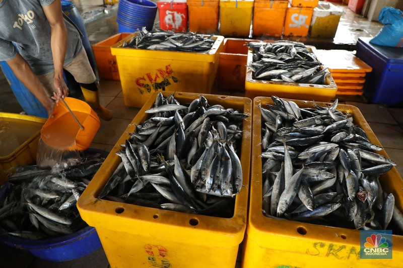 Pekerja melakukan bongkar muat ikan di Pasar Ikan Muara Baru, Jakarta, Kamis (9/12/2021). (CNBC Indonesia/Tri Susilo)