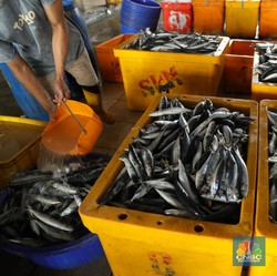 Bahaya! Gegara Ini Harga Ikan Bisa Naik dan Jadi Langka di RI